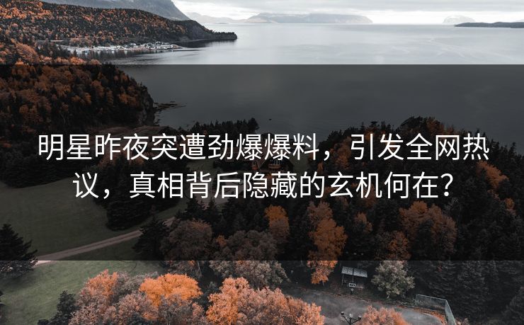 明星昨夜突遭劲爆爆料，引发全网热议，真相背后隐藏的玄机何在？