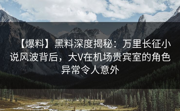 【爆料】黑料深度揭秘：万里长征小说风波背后，大V在机场贵宾室的角色异常令人意外