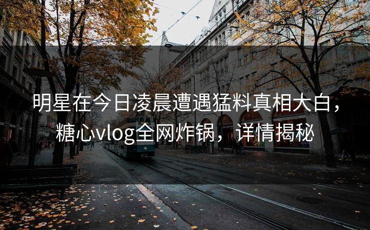明星在今日凌晨遭遇猛料真相大白，糖心vlog全网炸锅，详情揭秘