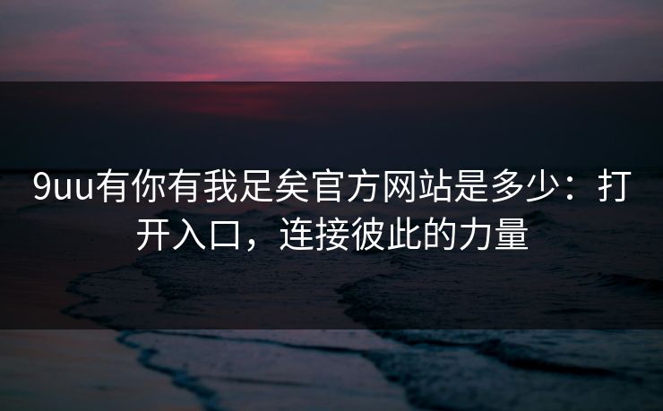 9uu有你有我足矣官方网站是多少：打开入口，连接彼此的力量