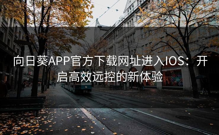 向日葵APP官方下载网址进入IOS：开启高效远控的新体验