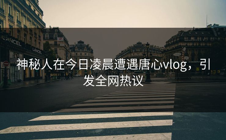 神秘人在今日凌晨遭遇唐心vlog,引发全网热议 神秘人在今日凌晨遭遇唐心vlog,引发全网热议